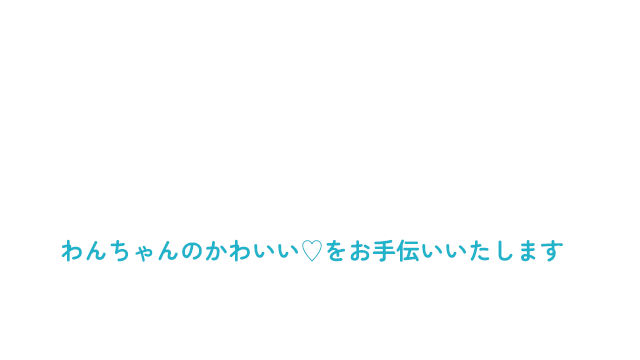 わんちゃんのかわいい♡をお手伝いいたします